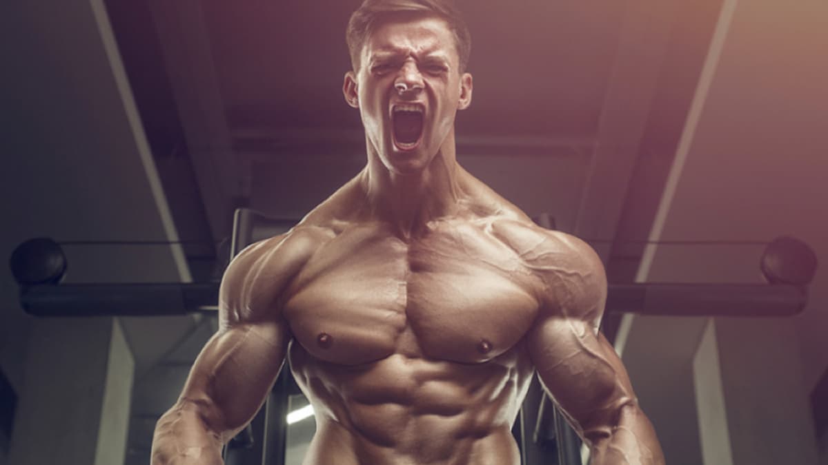 Snickers High Protein: Proteinreiche Nascherei bei Fatburnerking