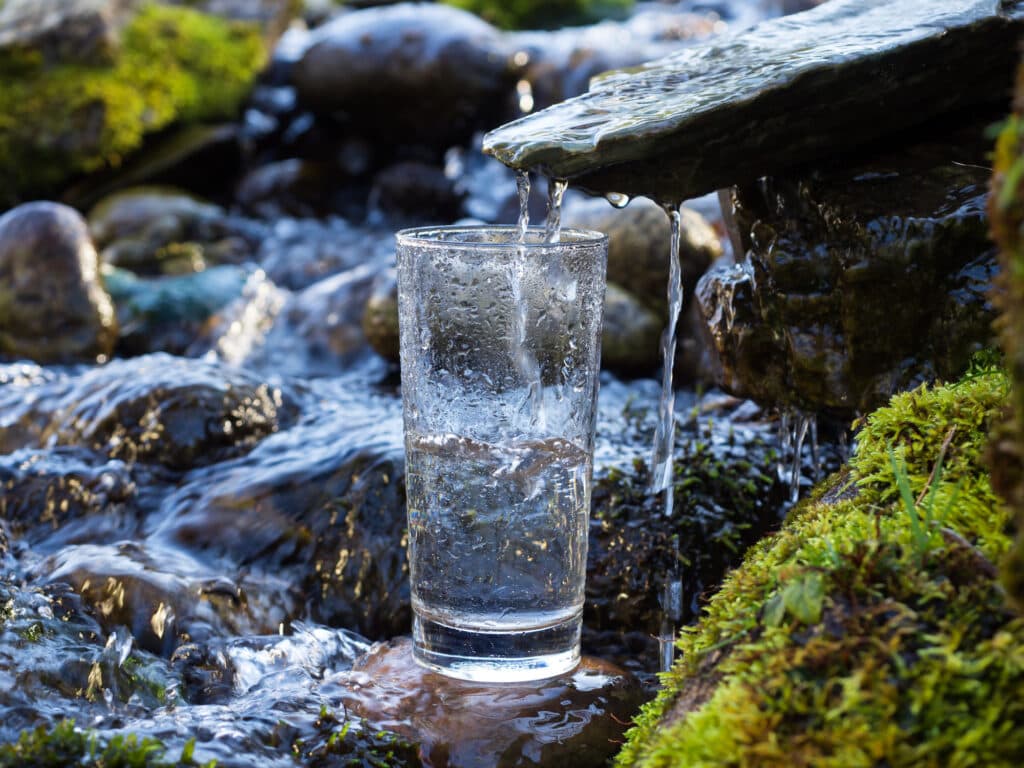 Quellwasserresonanz: Der Herzschlag des abgestimmten Wassers