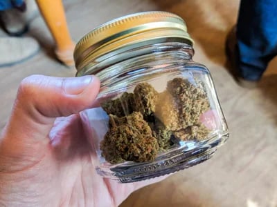 Direkt vom Breeder beziehen – Cannabis Samen bestellen mit Herkunftsnachweis
