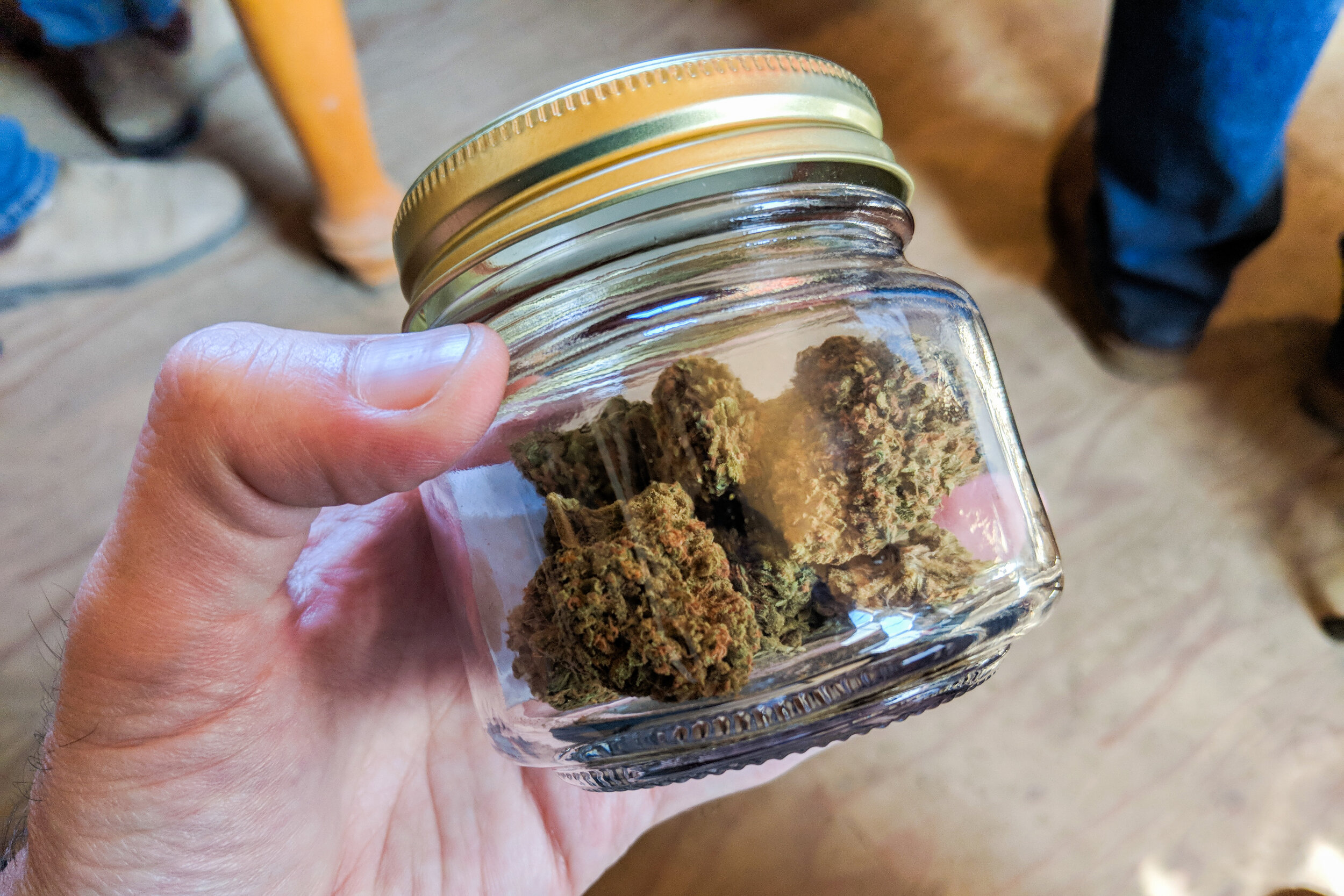 Direkt vom Breeder beziehen – Cannabis Samen bestellen mit Herkunftsnachweis